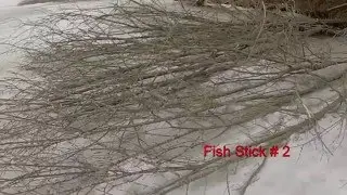 Chetek - Pokegama lake Fish Sticks Project #1