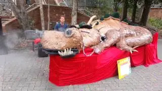 Dragon, breathes smoke & farts bubbles