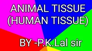 #Human Tissues#Animal Tissues #biology #Science #study yard# By-P.K.LAL Sir#study #
