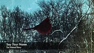 The Nomad Diary - Say Your Name