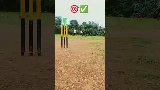 🏏❣️#cricket #song #cricketlove #cricketshorts #cricketenthusiast #dilsecricket #motivation