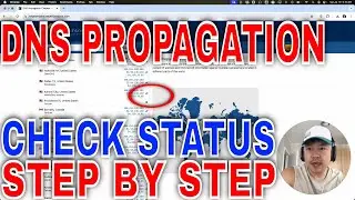 ✅  How To Check DNS Propagation Delay Status🔴