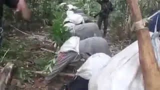 Ndfb Training
