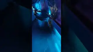 Inside Ice Cave in Mount Titlis