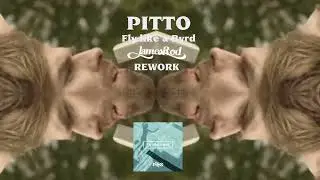 Pitto - Fly like a Byrd ( JAMES ROD Rework )