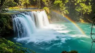 Chasing Waterfalls in Kerala&rsquo;s Rainforest Paradise #kerala  #travel  #4k  #youtubefeed #shorts