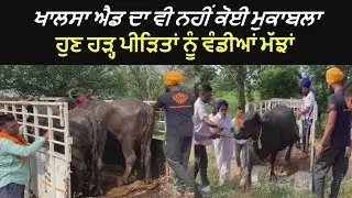 Khalsa Aid Distribute Buffaloes in Punjab - Must Watch