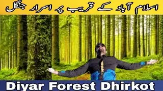 diyar forest dhirkot | 900 years old tree | most beautiful thick forest of kashmir complete guide