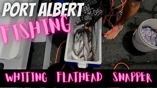 Port Albert Whiting, Flathead & Snapper Fishing