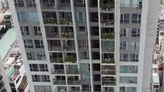 A view from above