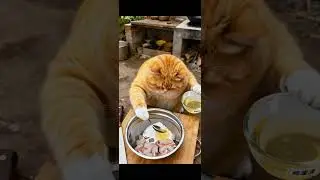 Ep93 || Fat orange cat cooks braised fish with pickled cabbage #catcooking #aicatcook #shorts