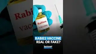 Is the rabies vaccine in India fake? Here&rsquo;s the full truth &mdash; without panic.