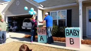 Twins gender reveal
