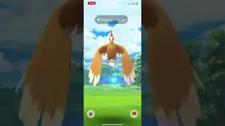 WHY, low CP Pok&eacute;mon got good status