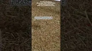 Dry Chili Stem Cutting Removing Machine