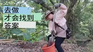 祖傳家園搭瓜棚工作實錄#自然舒食