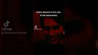 stan twitter: shane dawson to his cat in the backrooms