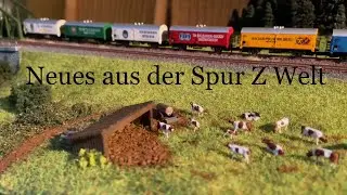 Neues aus der Spur Z Welt + Fahrvideospecial