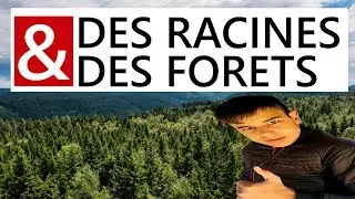 Des racines et des for&ecirc;ts - La for&ecirc;t des singes bleus 🙊 S1 #1