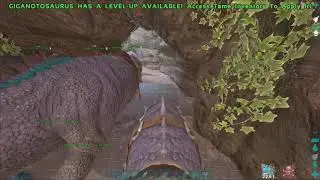 GANG GANG | Ark Official PVP | Wiping SH Spider Cave/Giga Fighting TPG/Barry Seals