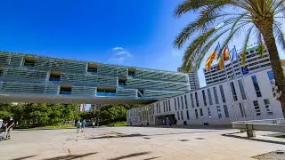 Pleno Extraordinario nº 19/2025
