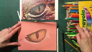 Reptile eye drawing
