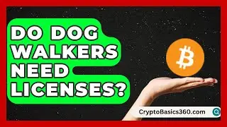 Do Dog Walkers Need Licenses? | Animal Care Jobs