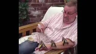 Man feeding birds