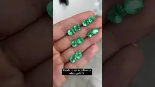Rare Apple grass Vivid Green Colombian emerald cushion cut shape pair parcels for sale on hand