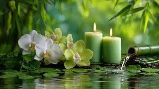 Balanced Water ASMR 🌿 Gentle Flowing Water Sounds for Calm Focus, Relaxation, and Peaceful Ambience