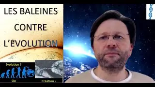 LES BALEINES CONTRE L&rsquo;EVOLUTION...