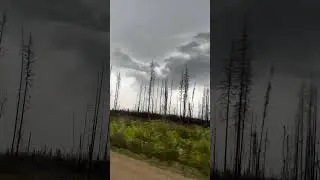 Out ran the storm! #atv #vroomvroom #rainbowlake #honda #520 #alberta #likeandsubscribe #like #viral