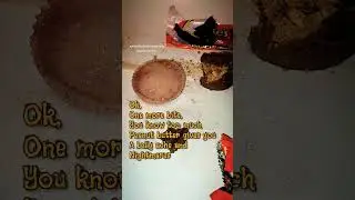 Lab grown peanut butter cup