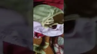 dera dera pas aa rehi