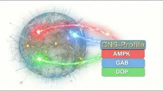 CNS-Profile: Smart Navigation for Supplement Choice (How It Works)