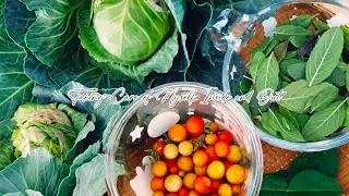 👩‍🌾 Homemade Papaya Hair Mask 🥭 Making Okonomiyaki ˚𓍢🌼🧺˚🌿˚.