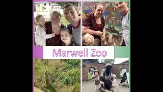 Marwell Zoo Southampton | Full Park Tour | Full Family Fun Day