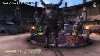 旧Oblivion　初見