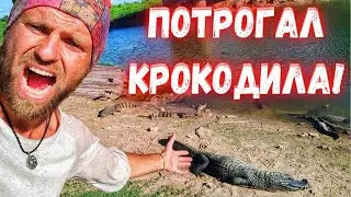 Кайманы и прочая живность.  Пантанал. Велопутешествие по Бразилии ✓31