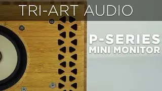 Tri Art Audio &ndash; P-Series Mini Monitor