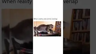 When reality and anime overlap😂 #shorts #youtubeshorts #viral #trending #tomandjerry