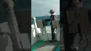 How to catch king mackerel or tanigue in taiwan #fishing