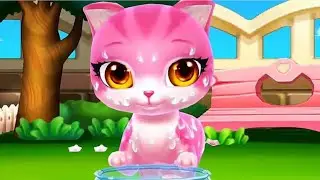 How Cats Became Pets
