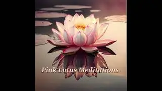 A Starry Starry Night Meditation