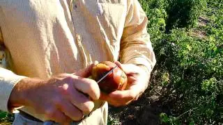 Covey Rise Farms с шеф-поваром Доменики Алоном Шайей