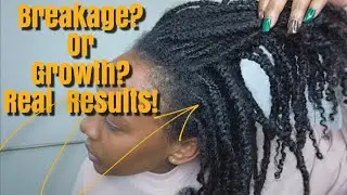 Twist Takedown After Months | Breakage or Growth? NATURALLY MARKED 