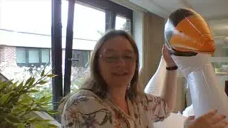Stadsspel uitleg DEF