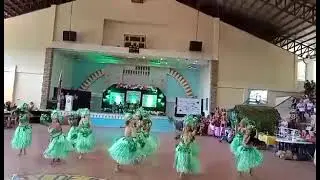 CHAMPION Womens Day 2024.                                         HAWAIIAN DANCE CONTEST