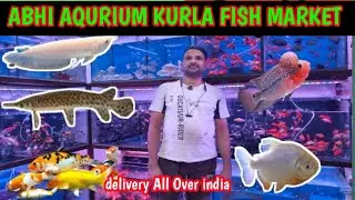 Best quality with best price ||  Aabhi aquarium Kurla Fish markit #abhiaquarium