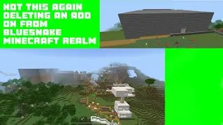 Not this again! Deleting an add on from my Minecraft realm. (VV)